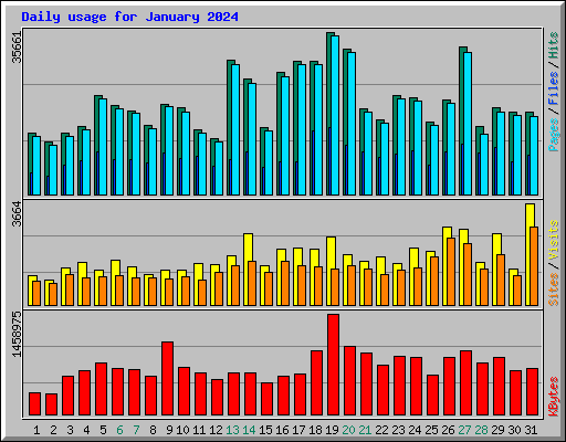 Daily usage for January 2024