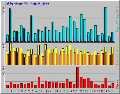 Daily usage for August 2024