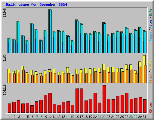 Daily usage for December 2024