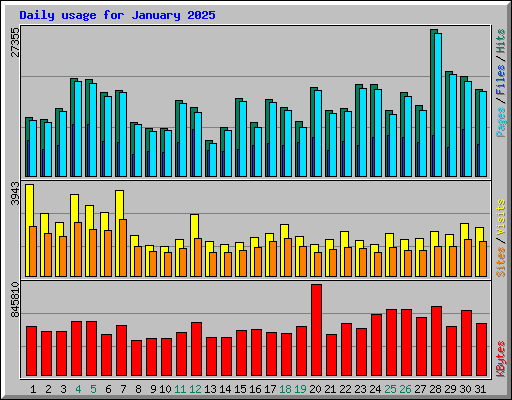 Daily usage for January 2025
