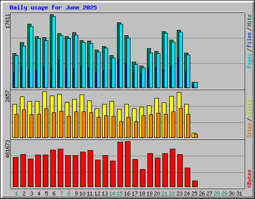 Daily usage for June 2025