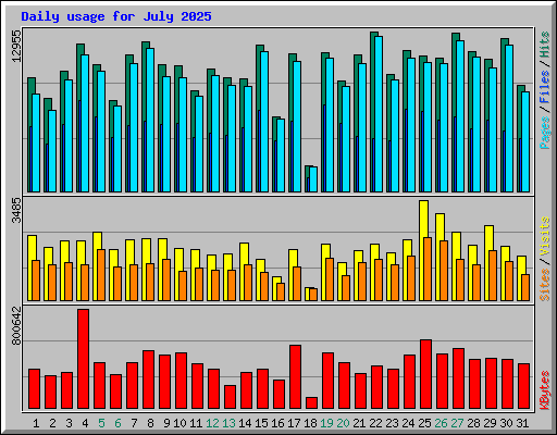 Daily usage for July 2025