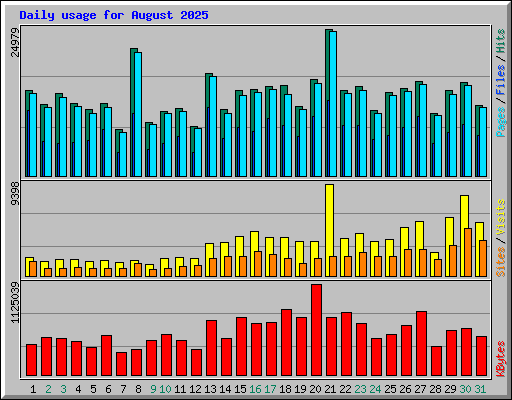 Daily usage for August 2025