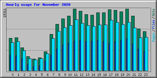 Hourly usage for November 2020