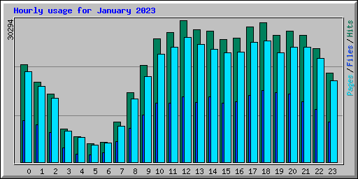 Hourly usage for January 2023
