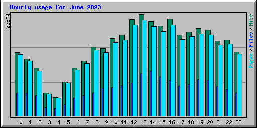 Hourly usage for June 2023