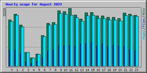 Hourly usage for August 2023
