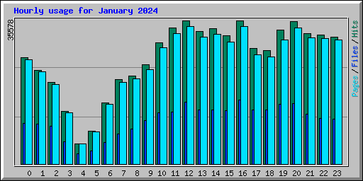 Hourly usage for January 2024