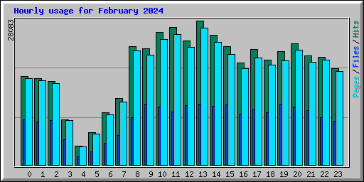 Hourly usage for February 2024