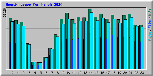 Hourly usage for March 2024