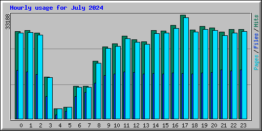 Hourly usage for July 2024