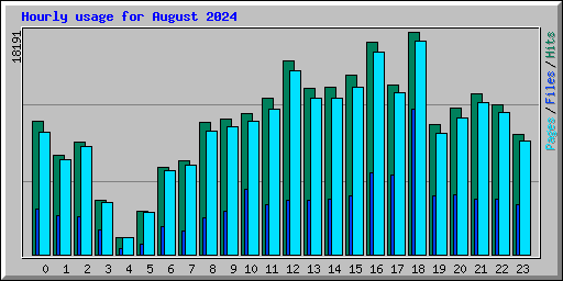 Hourly usage for August 2024