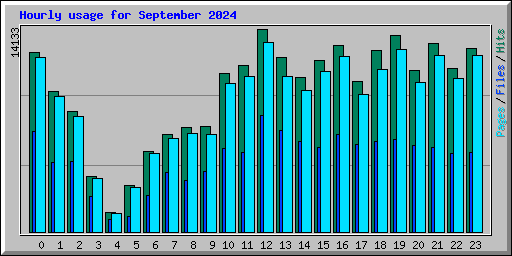 Hourly usage for September 2024