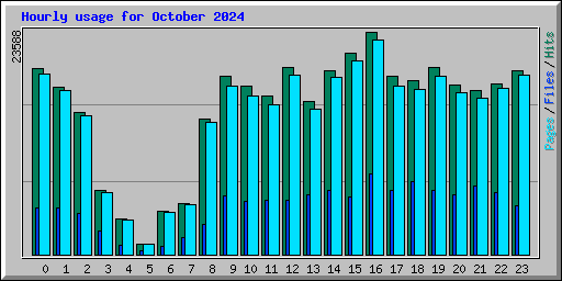 Hourly usage for October 2024