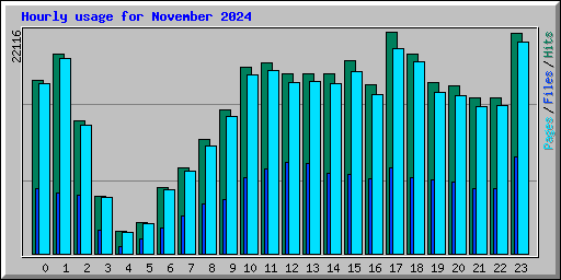 Hourly usage for November 2024