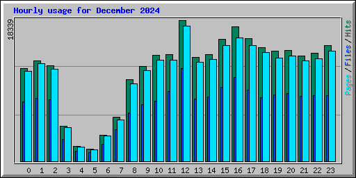 Hourly usage for December 2024