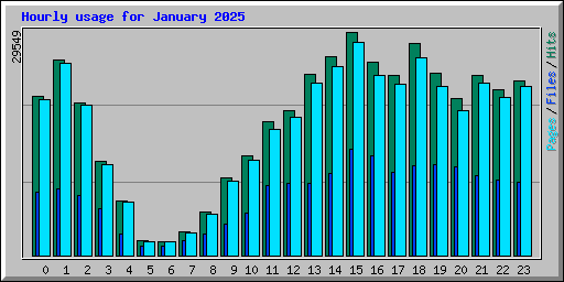 Hourly usage for January 2025