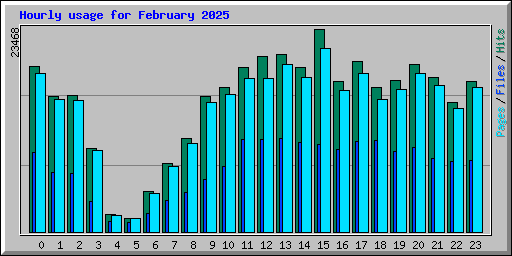 Hourly usage for February 2025