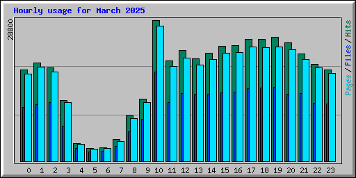 Hourly usage for March 2025