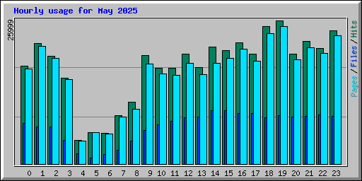 Hourly usage for May 2025