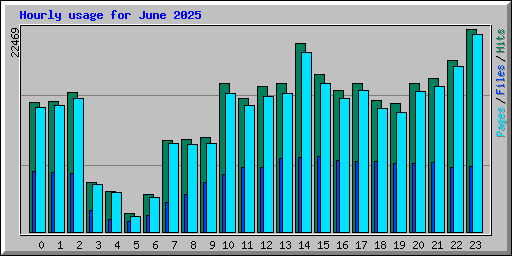 Hourly usage for June 2025