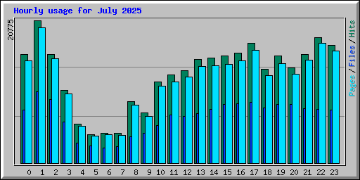 Hourly usage for July 2025
