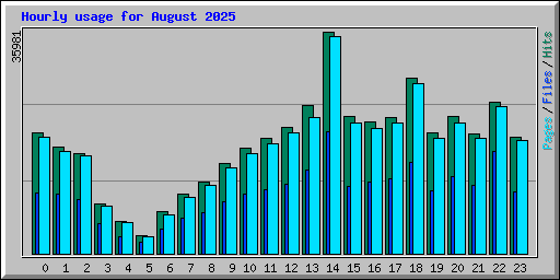 Hourly usage for August 2025