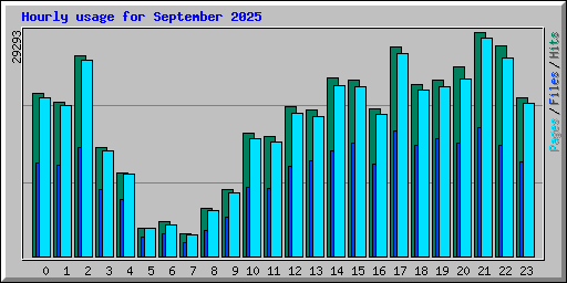 Hourly usage for September 2025