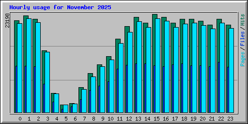 Hourly usage for November 2025